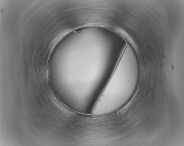 X0000073921284200608110956