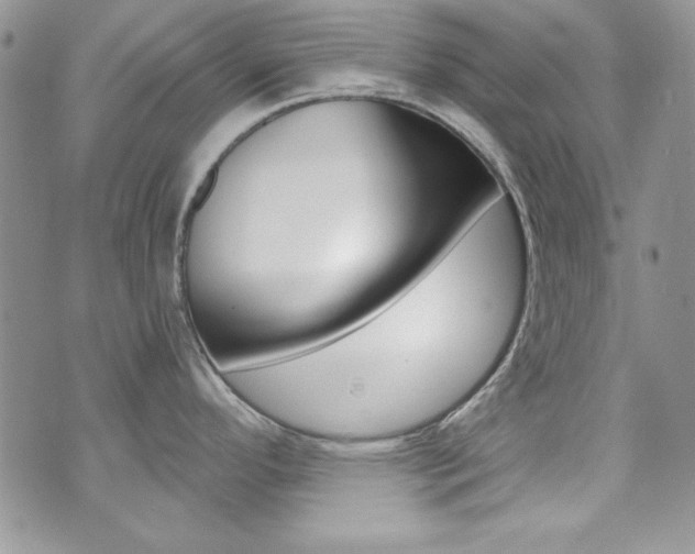 X0000073921296200608110955