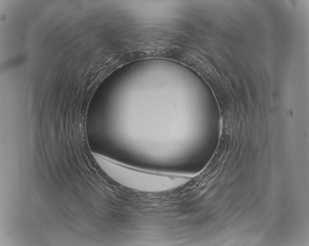 X0000073921298200608110955