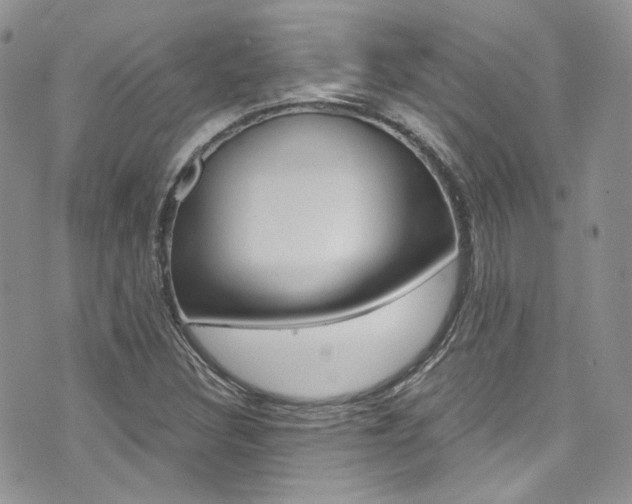 X0000073921308200608110955