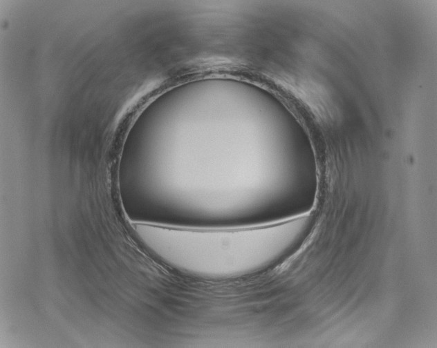 X0000073921309200608110955