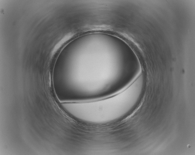 X0000073921317200608110955