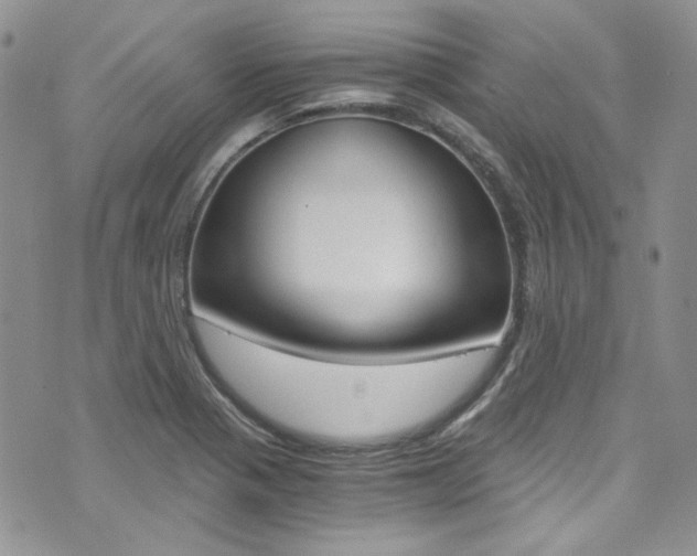 X0000073921321200608110955