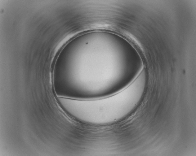 X0000073921324200608110955