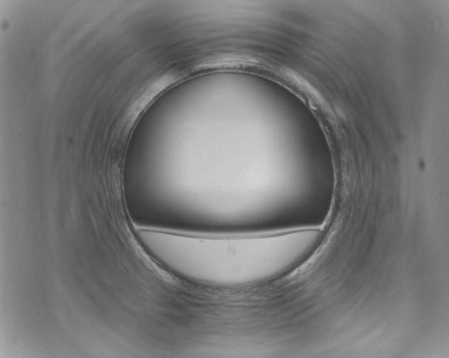 X0000073921329200608110955