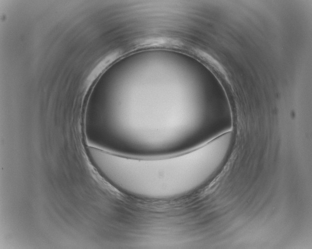 X0000073921330200608110955