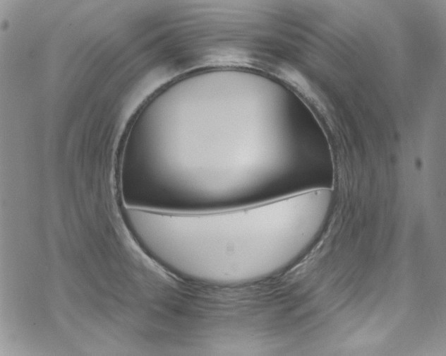 X0000073921331200608110955
