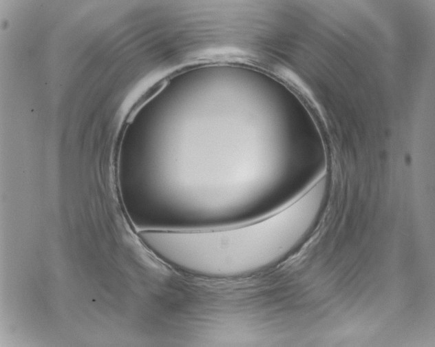 X0000073921336200608110955