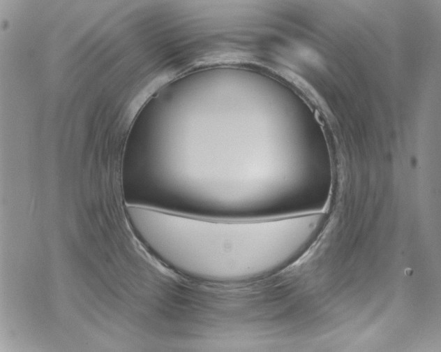 X0000073921337200608110955