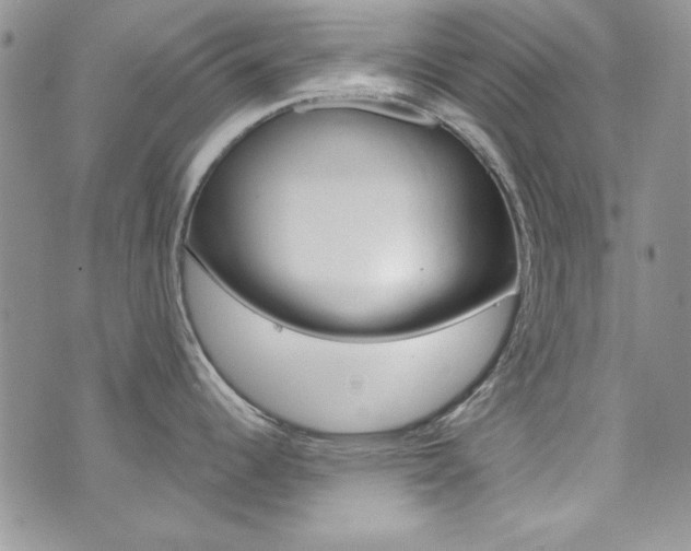 X0000073921344200608110955