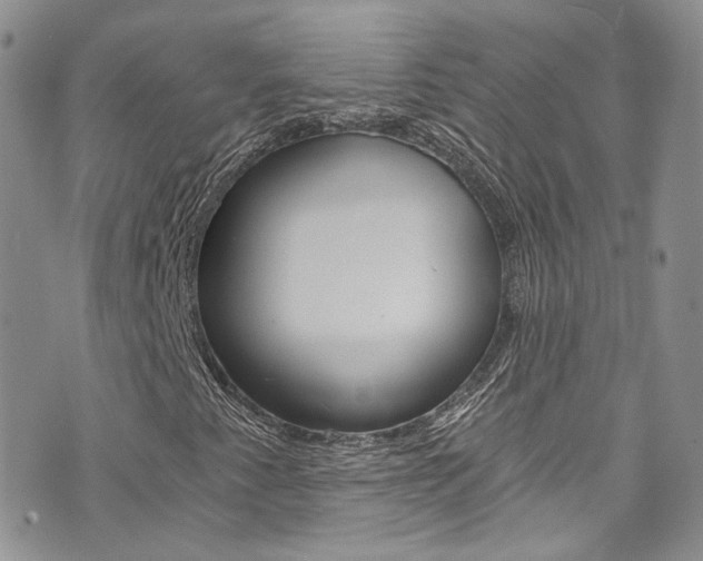 X0000073921345200608110955