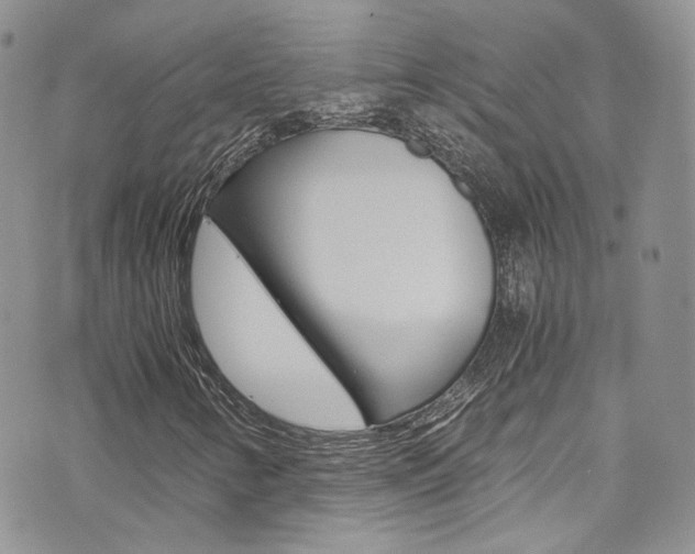 X0000073921346200608110955