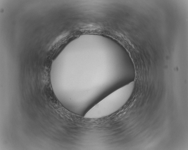 X0000073921350200608110955