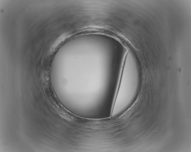 X0000073921355200608110955
