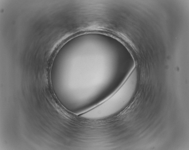 X0000073921356200608110954