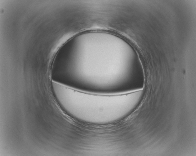X0000073921367200608110954