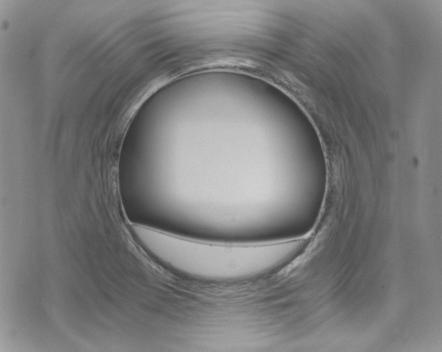 X0000073921369200608110954