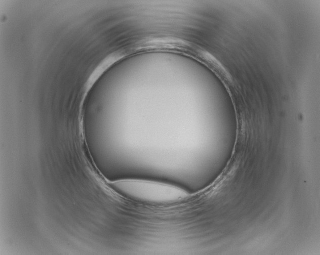 X0000073921370200608110954
