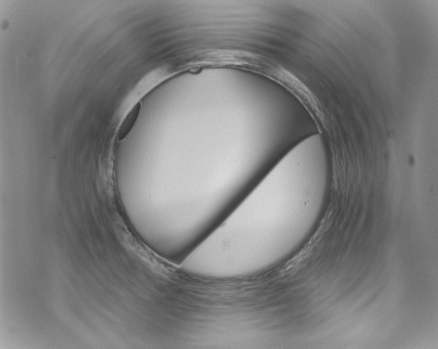X0000073921378200608110954