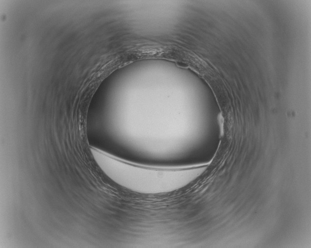 X0000073921394200608110953