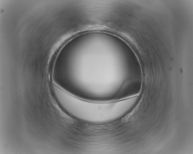 X0000073921414200608110953