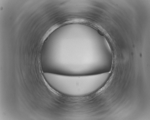 X0000073921425200608110954