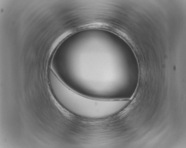 X0000073921426200608110954