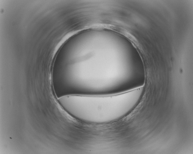 X0000073921428200608110954
