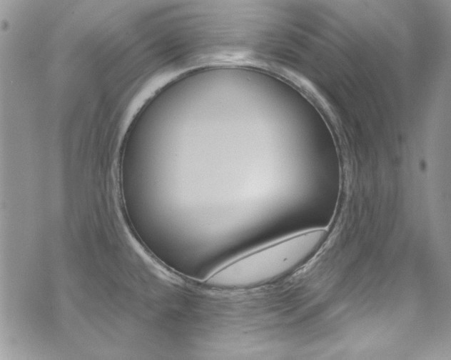X0000073921432200608110954