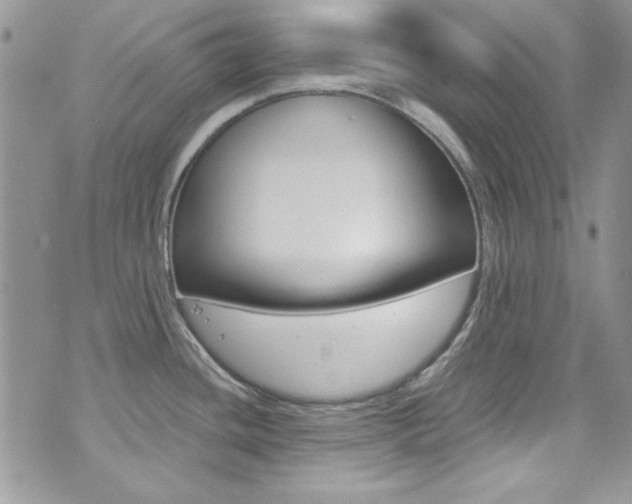 X0000073921436200608110954