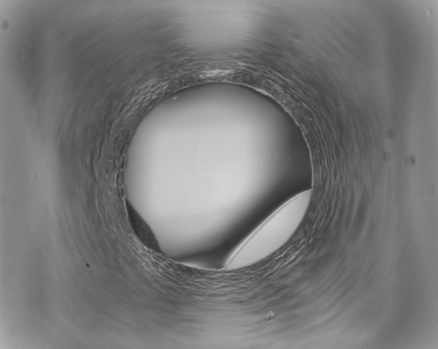 X0000073921441200608110953