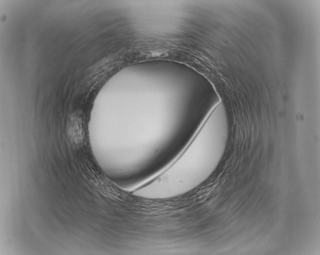 X0000073921442200608110953