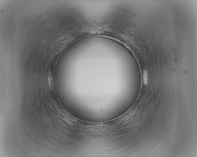 X0000073921444200608110953