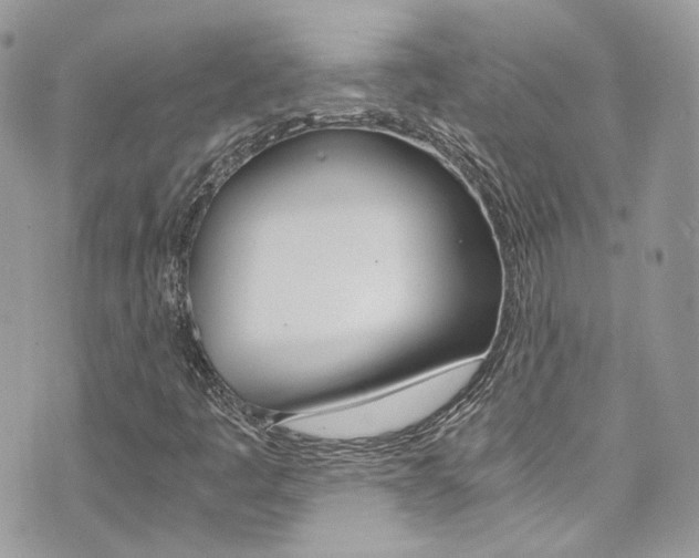 X0000073921445200608110953