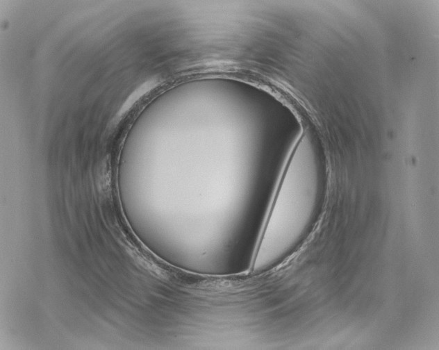 X0000073921450200608110953