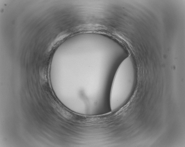 X0000073921451200608110953