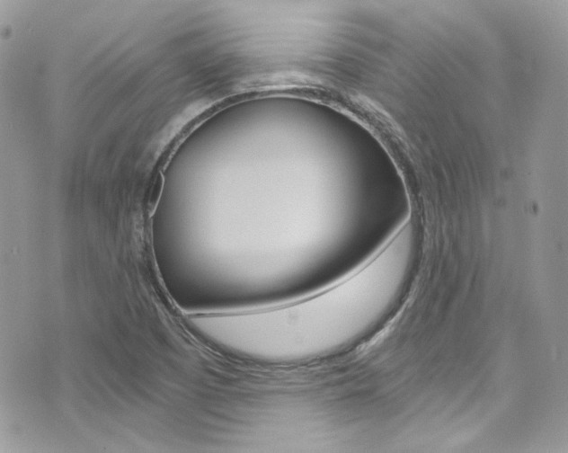 X0000073921457200608110953