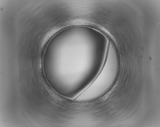 X0000073921461200608110953
