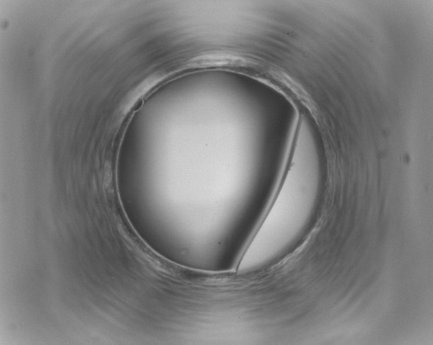 X0000073921465200608110953