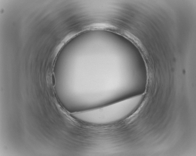 X0000073921473200608110953