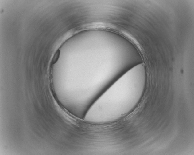 X0000073921475200608110953