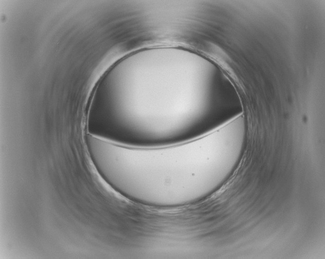 X0000073921484200608110952