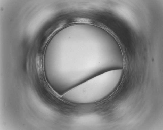 X0000073921487200608110952