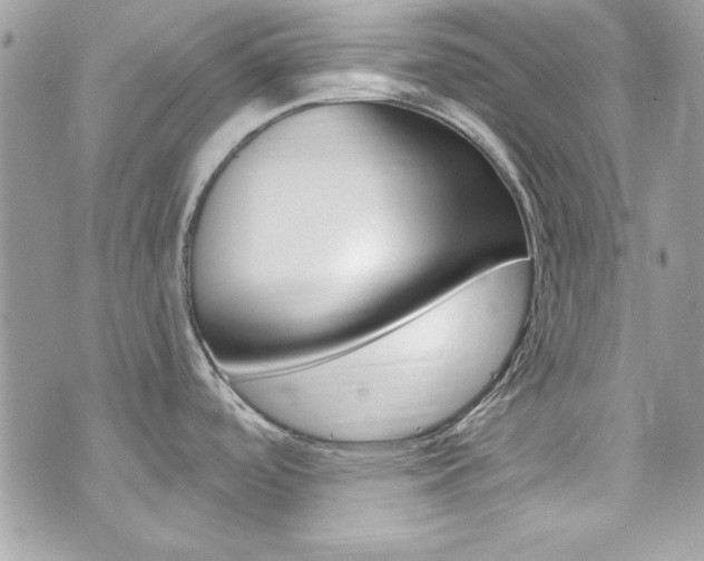 X0000073921488200608110952