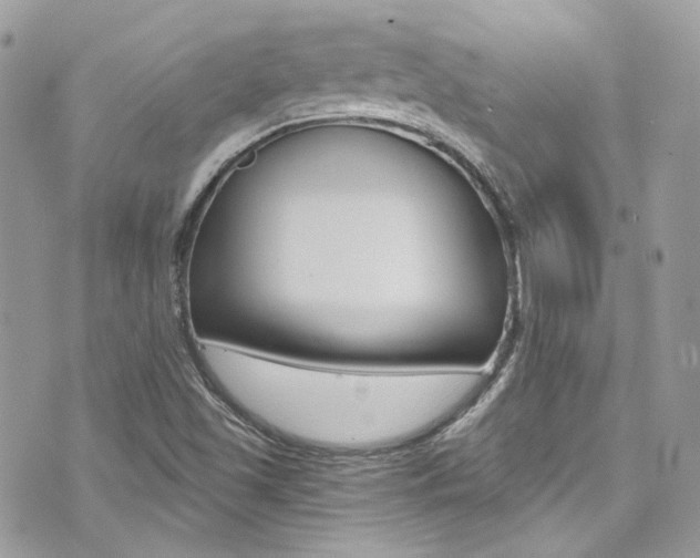 X0000073921501200608110952