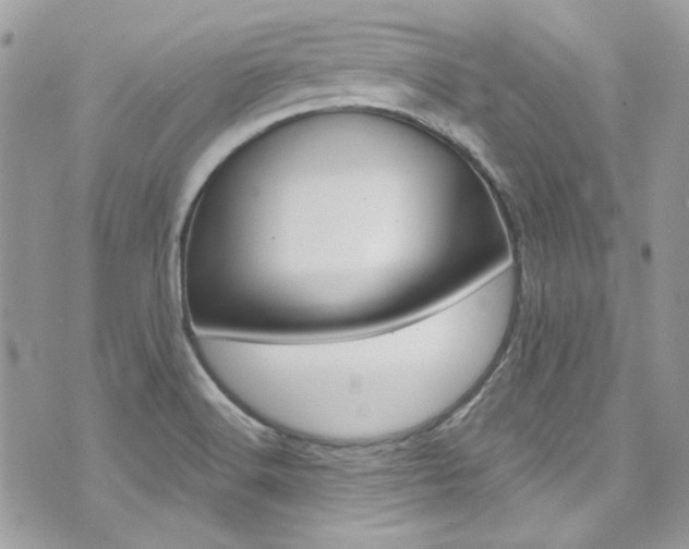 X0000073921516200608110952