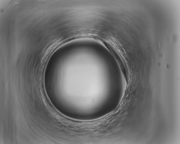 X0000073920001200608111234