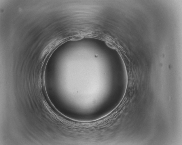 X0000073920002200608111234