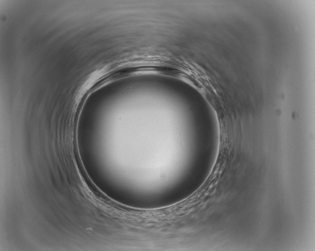 X0000073920003200608111234