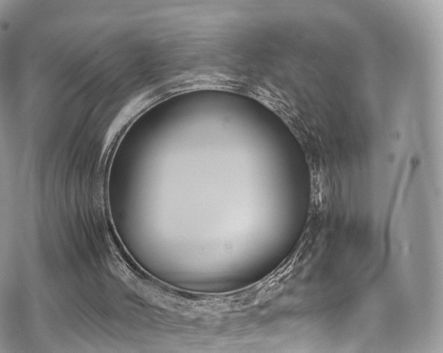 X0000073920004200608111234